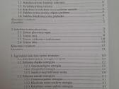 Kokybinių tyrimų metodologija - nuotraukos Nr. 3