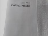 Žmogaus meilės - nuotraukos Nr. 2