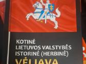 Lietuvos Valstybės Vėliava - nuotraukos Nr. 2
