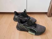 Puma - nuotraukos Nr. 2