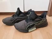 Puma - nuotraukos Nr. 4