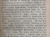 V. Misevičius "Vaikelio Kukoriaus nutikimai" - nuotraukos Nr. 3