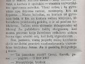V. Misevičius "Vaikelio Kukoriaus nutikimai" - nuotraukos Nr. 5
