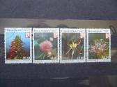 1982 m. gėlės