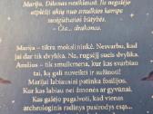 Nauja knyga "Paslaptingas drakonas" - nuotraukos Nr. 4