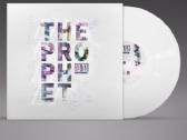 T.o.y. vinilas