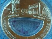 Moneta Fiji 2012m. 1 dollar, silver(.999), 20g