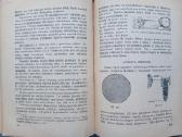 Režisieriaus darbas knyga - nuotraukos Nr. 6