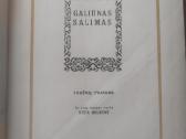 "Galiūnas Salimas" - nuotraukos Nr. 6