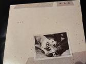 Fleetwood Mac Tusk