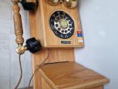 Sieninis telefonas - nuotraukos Nr. 2