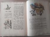 Nikolajus Sladkovas "Šarkų tarškalai" - nuotraukos Nr. 6