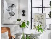 Ikea Plommonträd pavekslų rėmai 2vnt. @ - nuotraukos Nr. 3