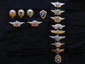 Ženklai " Master ","Nastavnik".