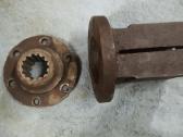 Bronz antis, Sraigta, Movos, Spirokle melhiorine - nuotraukos Nr. 8