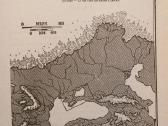 D. M. Auel "Urvinės meškos klanas" - nuotraukos Nr. 3