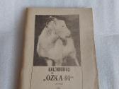 Kalendorius "ožka-91"