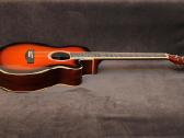 Transakustinė gitara Infinity - nuotraukos Nr. 2