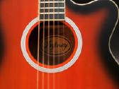 Transakustinė gitara Infinity - nuotraukos Nr. 6