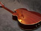 Transakustinė gitara Infinity - nuotraukos Nr. 11