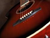 Transakustinė gitara Infinity - nuotraukos Nr. 12