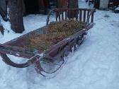 Rogės - nuotraukos Nr. 4