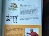 O. Kristiansenas. Geros idėjos. Piešk ir mokykis - nuotraukos Nr. 23