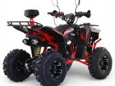 Naujas keturratis Apollo Commander 125cc 12kw - nuotraukos Nr. 6