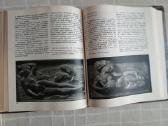 Lietuvių dailės istorija - nuotraukos Nr. 9