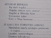 Mėnulis pataria - nuotraukos Nr. 3