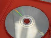 Mr. Poppers Penguins Dvd - nuotraukos Nr. 10