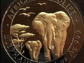 Moneta Somalija 2015m. 100shillings, sidabras(.999