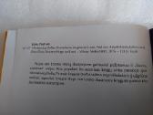 Vilkolakiukas Dolfas. Gimtadienio staigmena - nuotraukos Nr. 6