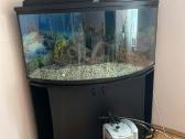 Kampinis akvariumas su spintele - nuotraukos Nr. 2