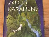 Įv. vaikiškų knygų išpardavimas - nuotraukos Nr. 6
