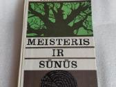 Meisteris ir sūnūs