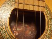 Gitara akustinė - nuotraukos Nr. 7