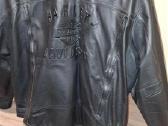Harley -Davidson striukė