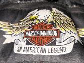 Harley -Davidson striukė - nuotraukos Nr. 2