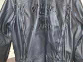 Harley -Davidson striukė - nuotraukos Nr. 10