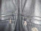 Harley -Davidson striukė - nuotraukos Nr. 11