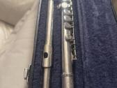 Klarnetas, Fleita , Casio Dh-100, Miraphone 1-k - nuotraukos Nr. 17