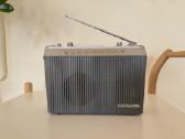 Blaupunkt Derby radijas