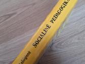 Socialinė pedagogika - nuotraukos Nr. 2