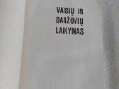 Vaisių ir daržovių laikymas - nuotraukos Nr. 2