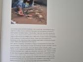 Tarp dangaus ir žemės - nuotraukos Nr. 2
