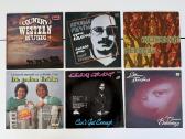 110+ vinilinės plokštelės - nuotraukos Nr. 12