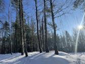 Gamtos, ramybės ir privatumo mėgėjams - nuotraukos Nr. 13