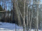 Gamtos, ramybės ir privatumo mėgėjams - nuotraukos Nr. 14