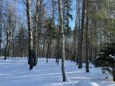 Gamtos, ramybės ir privatumo mėgėjams - nuotraukos Nr. 16